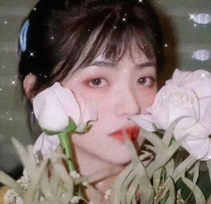 老虎装牙 封面